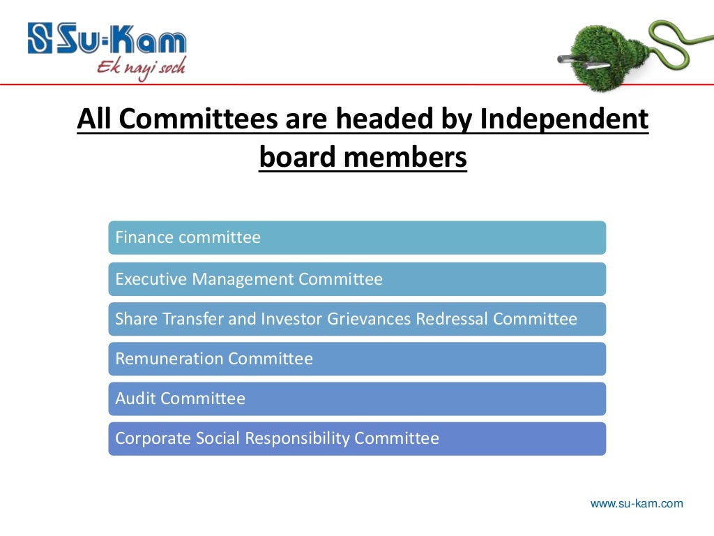 Board committees slide